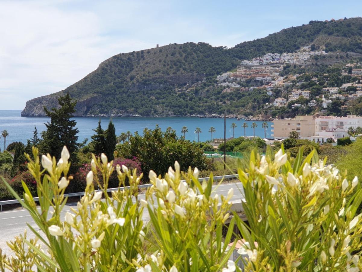Pension Los Verdiales La Herradura  Dış mekan fotoğraf